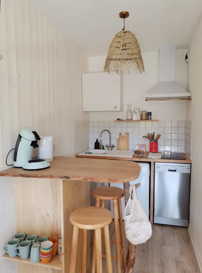 ** Nouveau ** Le Jardin De La Plage - Appartement Avec Exterieur Saint-Jorioz Eksteriør billede